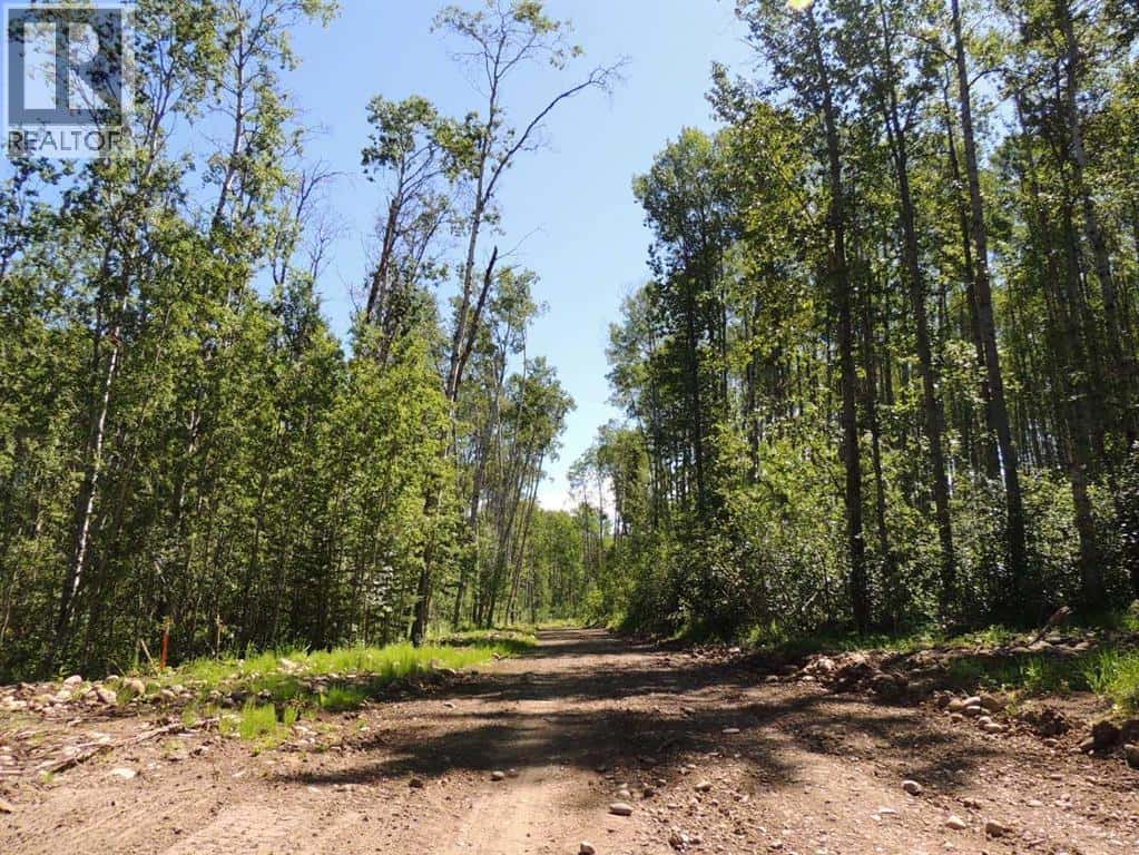 Lot 27, Wapiti River SW-21-69-10-W6 — Rural Grande Prairie No. 1, County of, Alberta - Photo 2 of 12