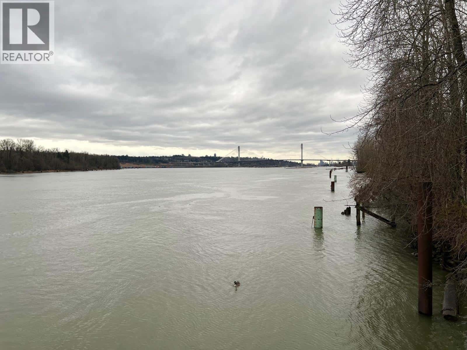 19 2381 ARGUE STREET — Port Coquitlam, British Columbia - Photo 4 of 35