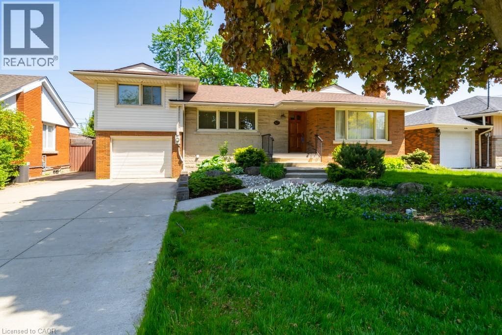 Hamilton — Hamilton - Main photo