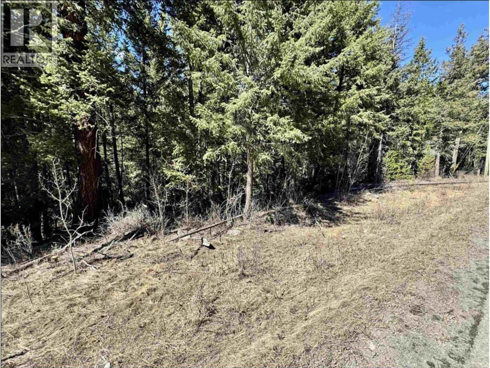 LOT B HORSE LAKE ROAD — Horse Lake, British Columbia - Photo 5 of 11