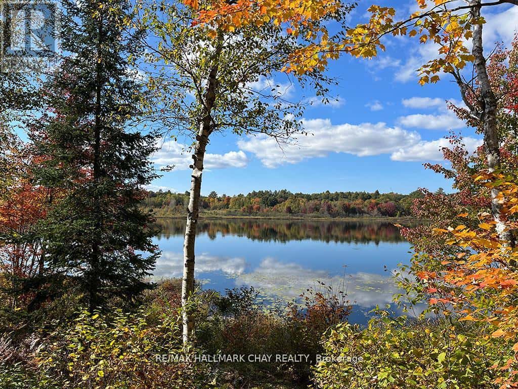 1133 FIRE ROUTE A1 STREET — Gravenhurst (Ryde), Ontario - Photo 2 of 31