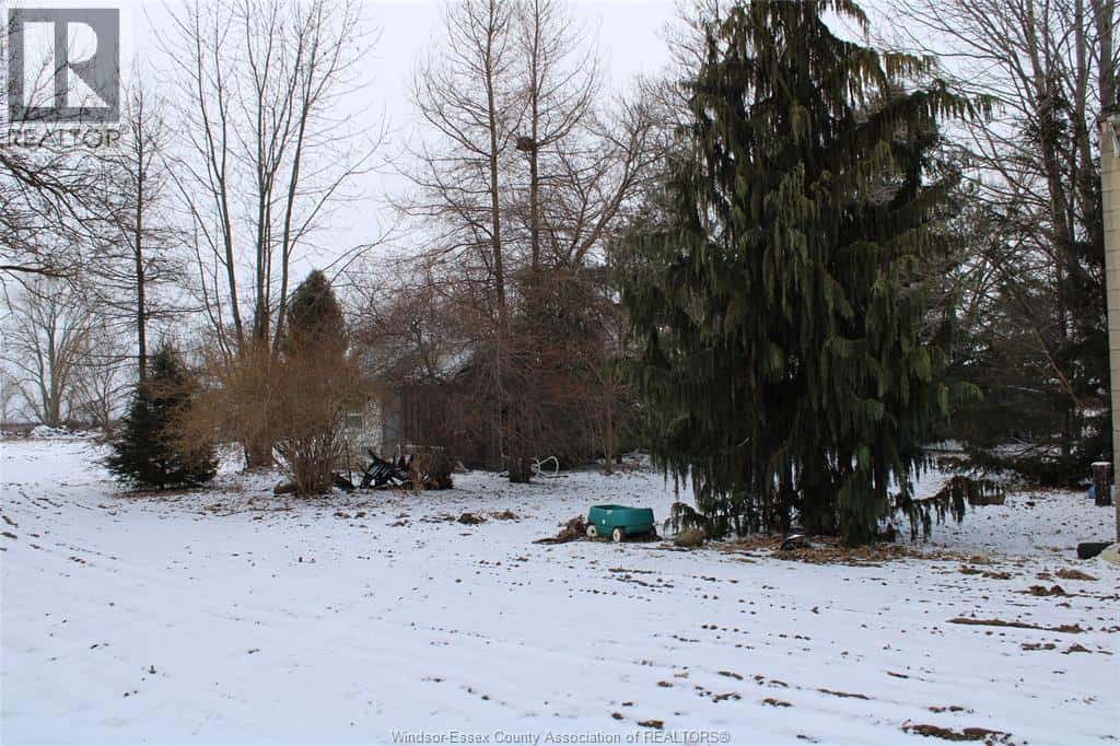 3703-3705 COUNTY RD 31 — Kingsville, Ontario - Photo 3 of 17