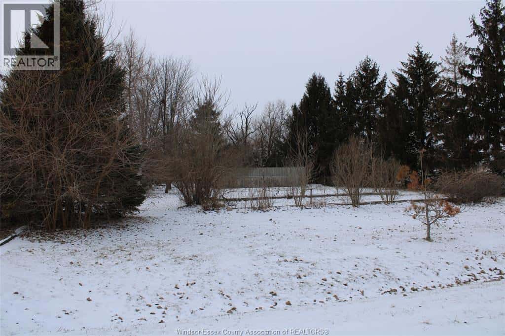 3703-3705 COUNTY RD 31 — Kingsville, Ontario - Photo 5 of 17