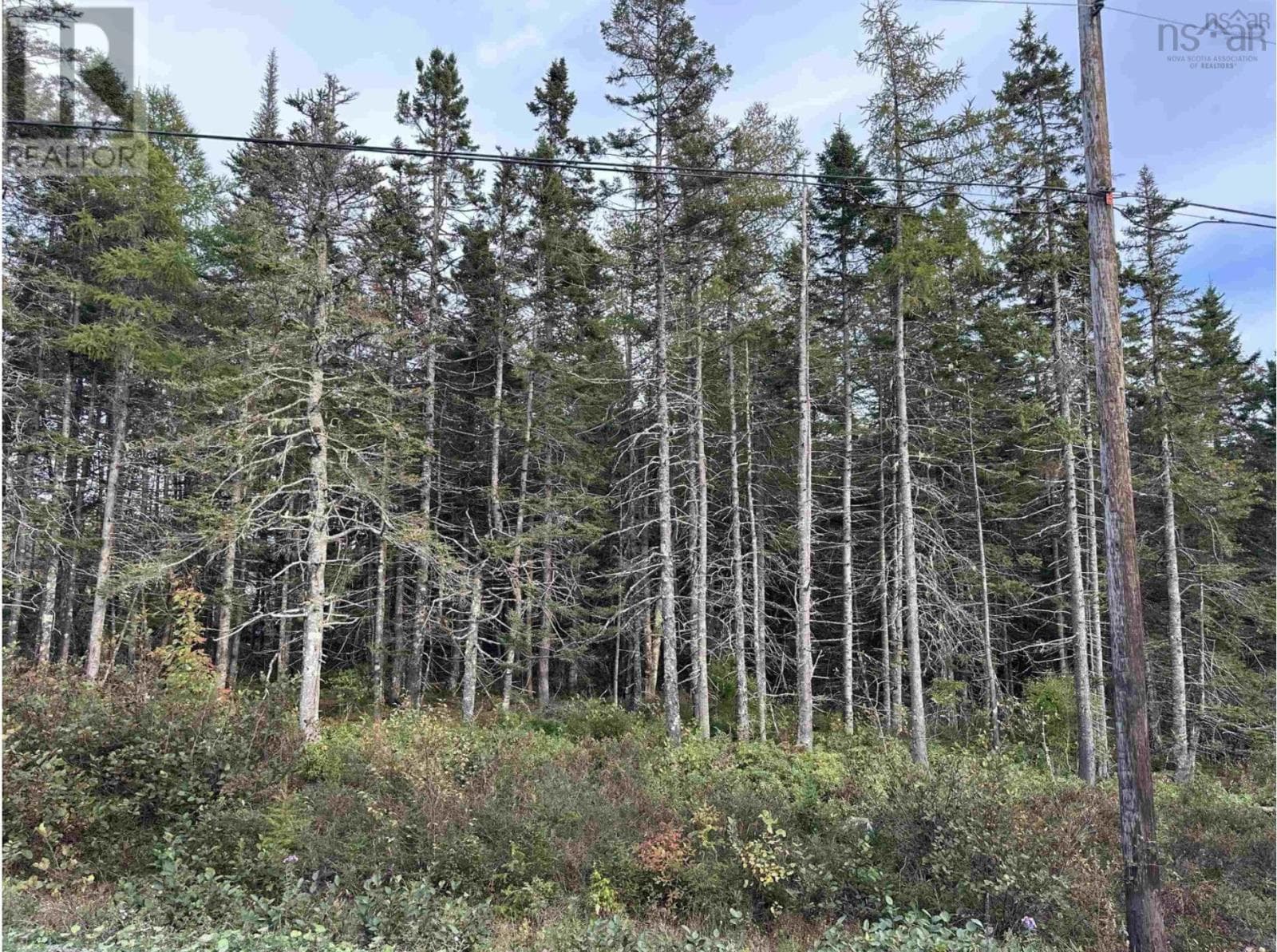 Point View Road — Louisdale, Nova Scotia - Main photo