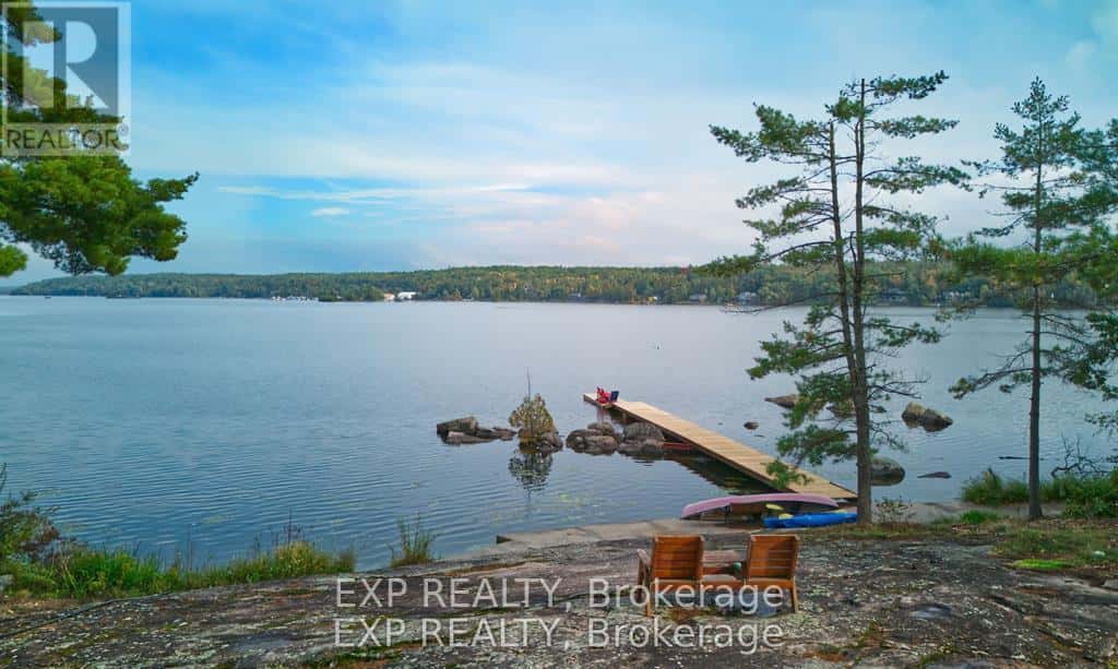 65 FIRE ROUTE 21 — Trent Lakes, Ontario - Photo 4 of 43