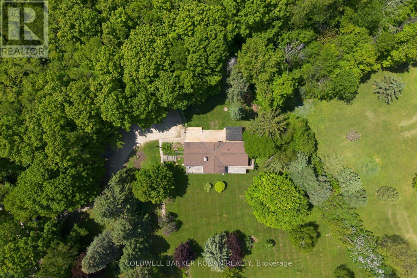 Mono — Mono - Photo 4 of 46