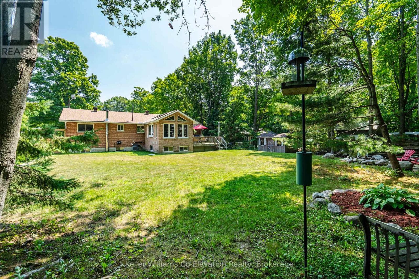 Tiny — Tiny - Main photo