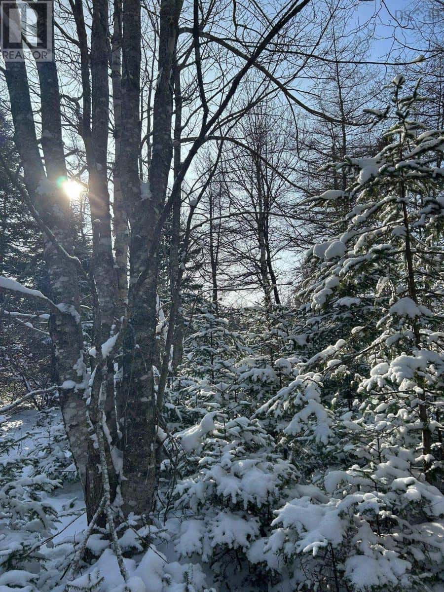 Lot 11 Lower River Road, Grantville — Grantville, Nova Scotia - Photo 2 of 12