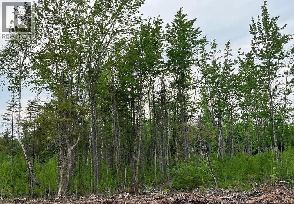 24-03 Chultun Court — Lower Coverdale, New Brunswick - Main photo