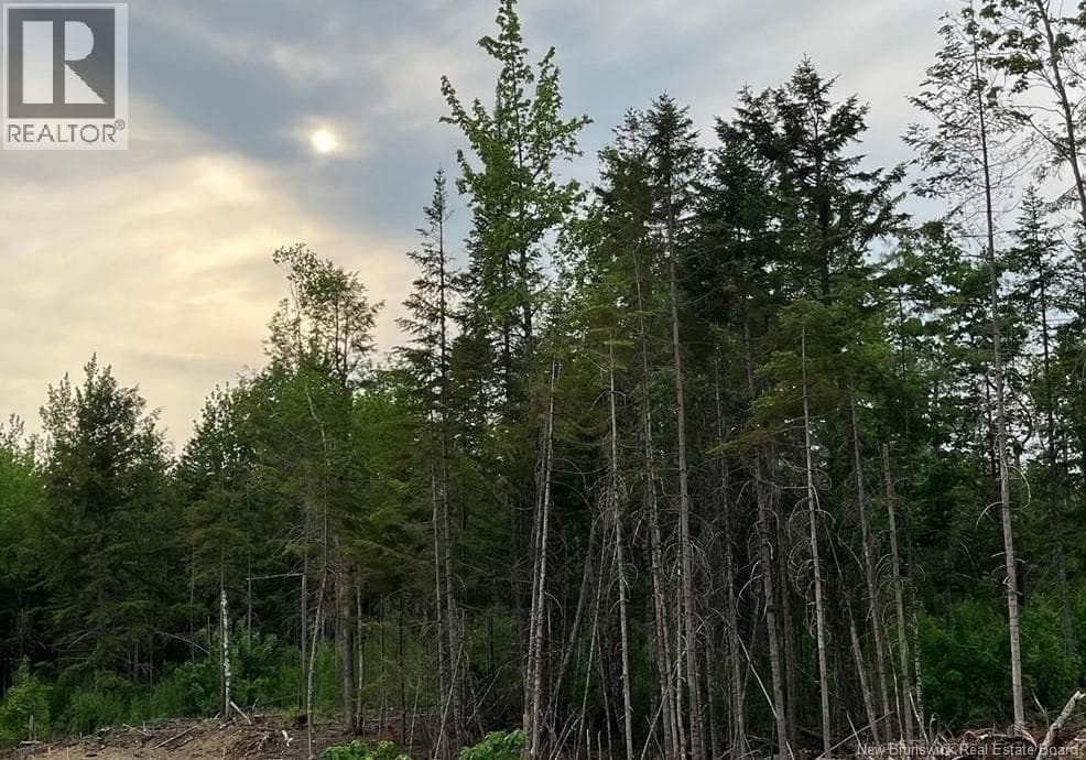 24-01 Chultun Court — Lower Coverdale, New Brunswick - Main photo