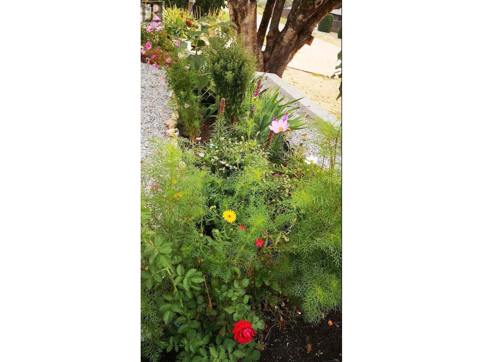 409 Polson Avenue — Enderby, British Columbia - Photo 4 of 26