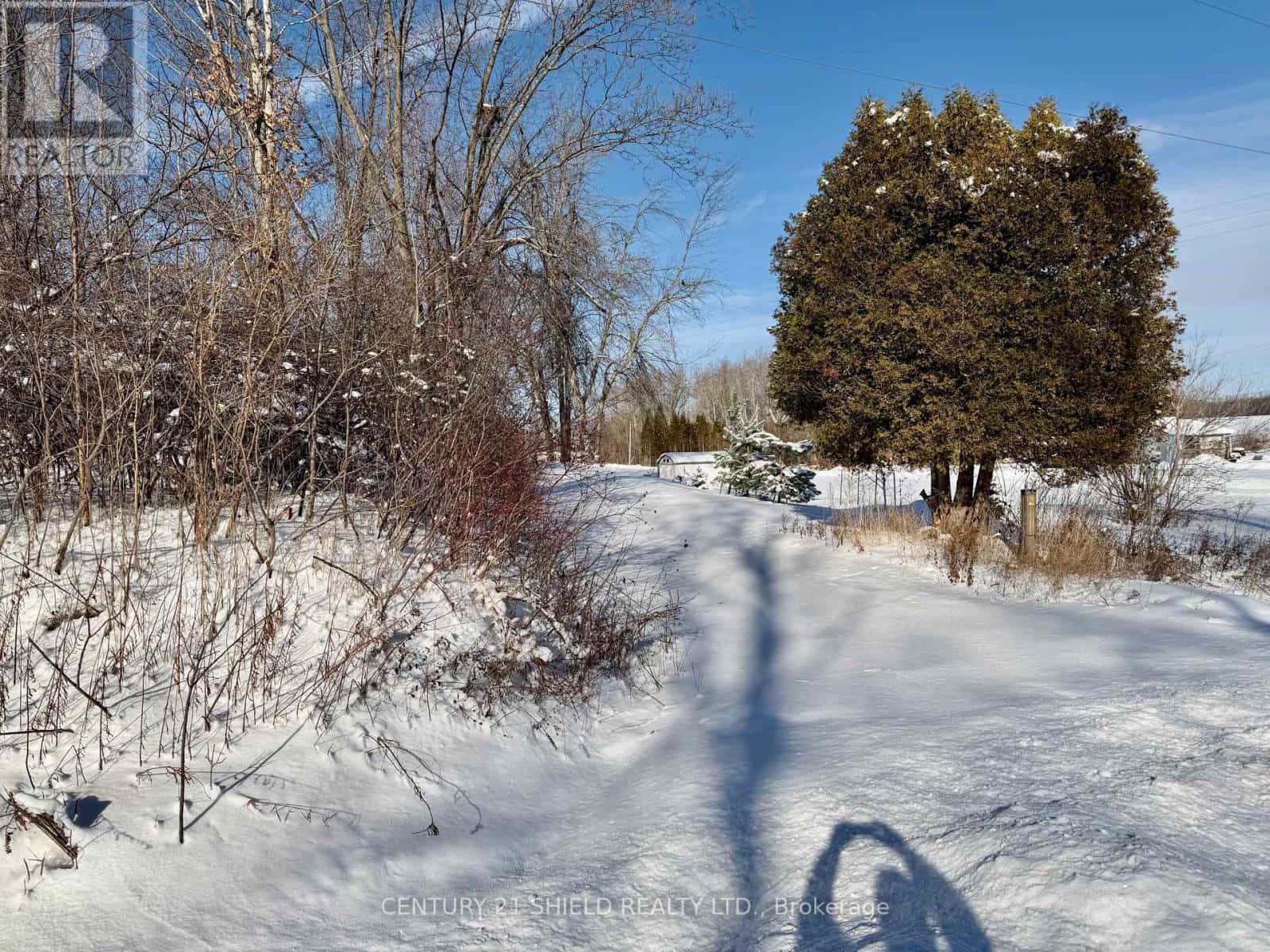 16403 COUNTY RD 36 ROAD — South Stormont, Ontario - Photo 4 of 7