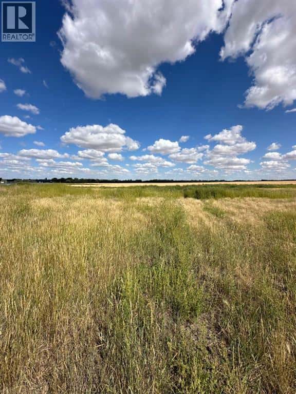 Lot 6, 12003 Range Road 60A — Rural Cypress County, Alberta - Photo 3 of 3