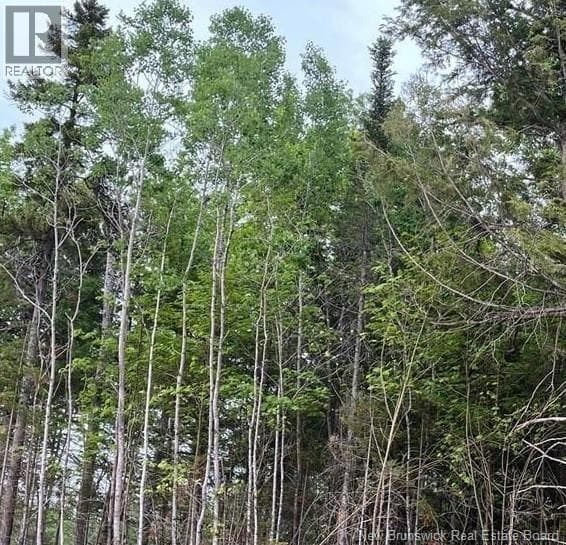 24-700 Stanley Street — Lower Coverdale, New Brunswick - Main photo