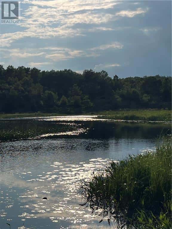 145 Sabourin Street — Greater Sudbury, Ontario - Photo 3 of 22