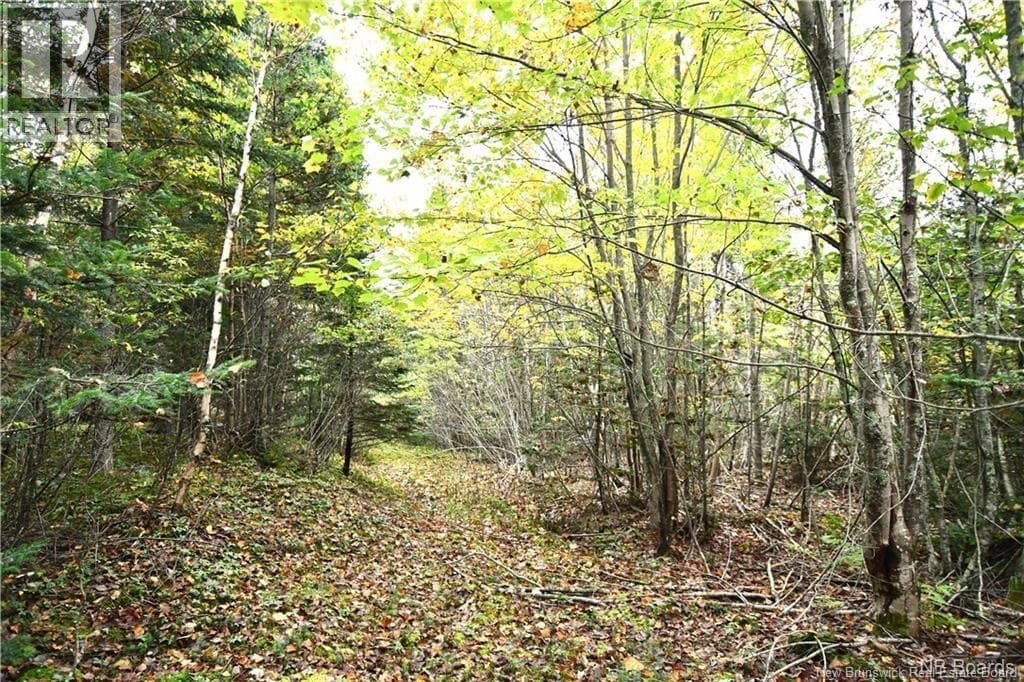 155 Hutchins Heights Road — Welshpool, New Brunswick - Main photo