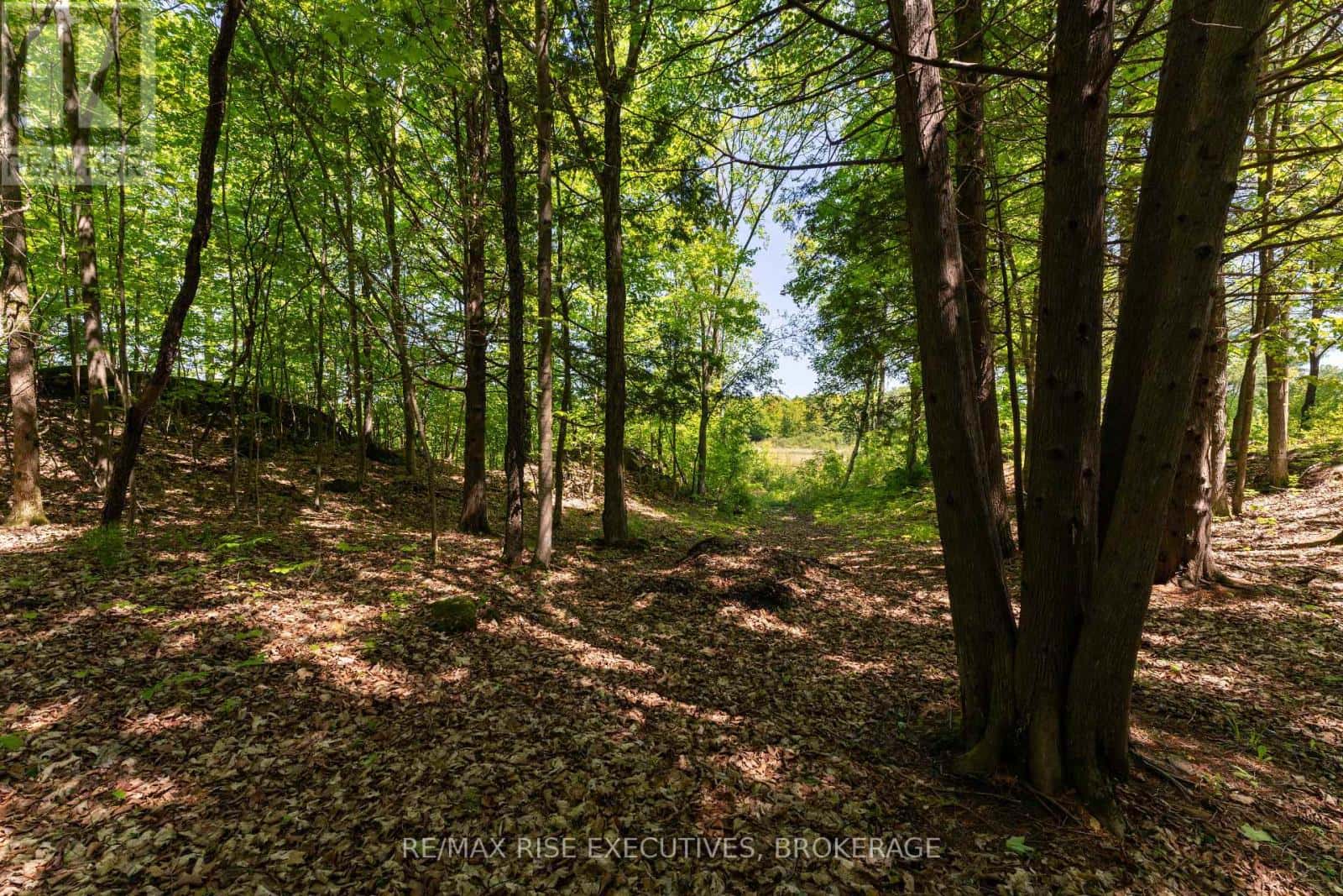 PT 2 SPRING MILL LANE — Frontenac (Frontenac South), Ontario - Photo 5 of 50