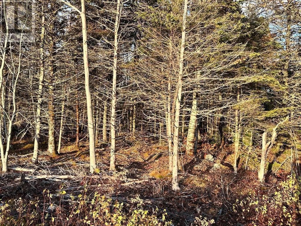 Lot 9 Shore Road — Western Head, Nova Scotia - Main photo