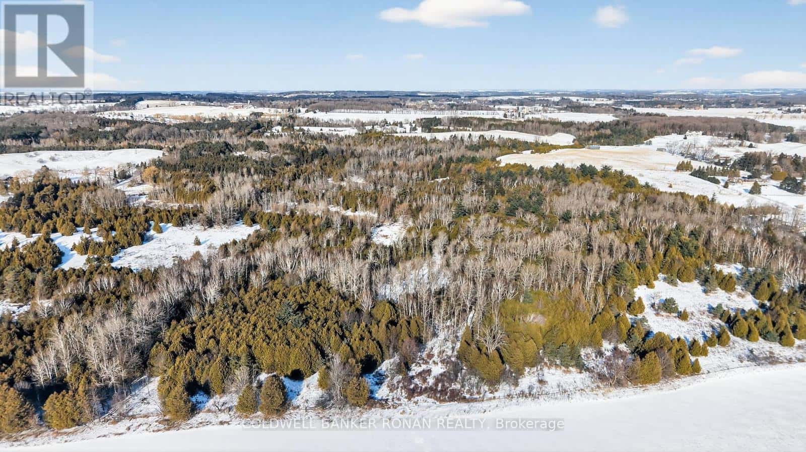 8155 19TH SIDE ROAD — King (Schomberg), Ontario - Photo 5 of 24