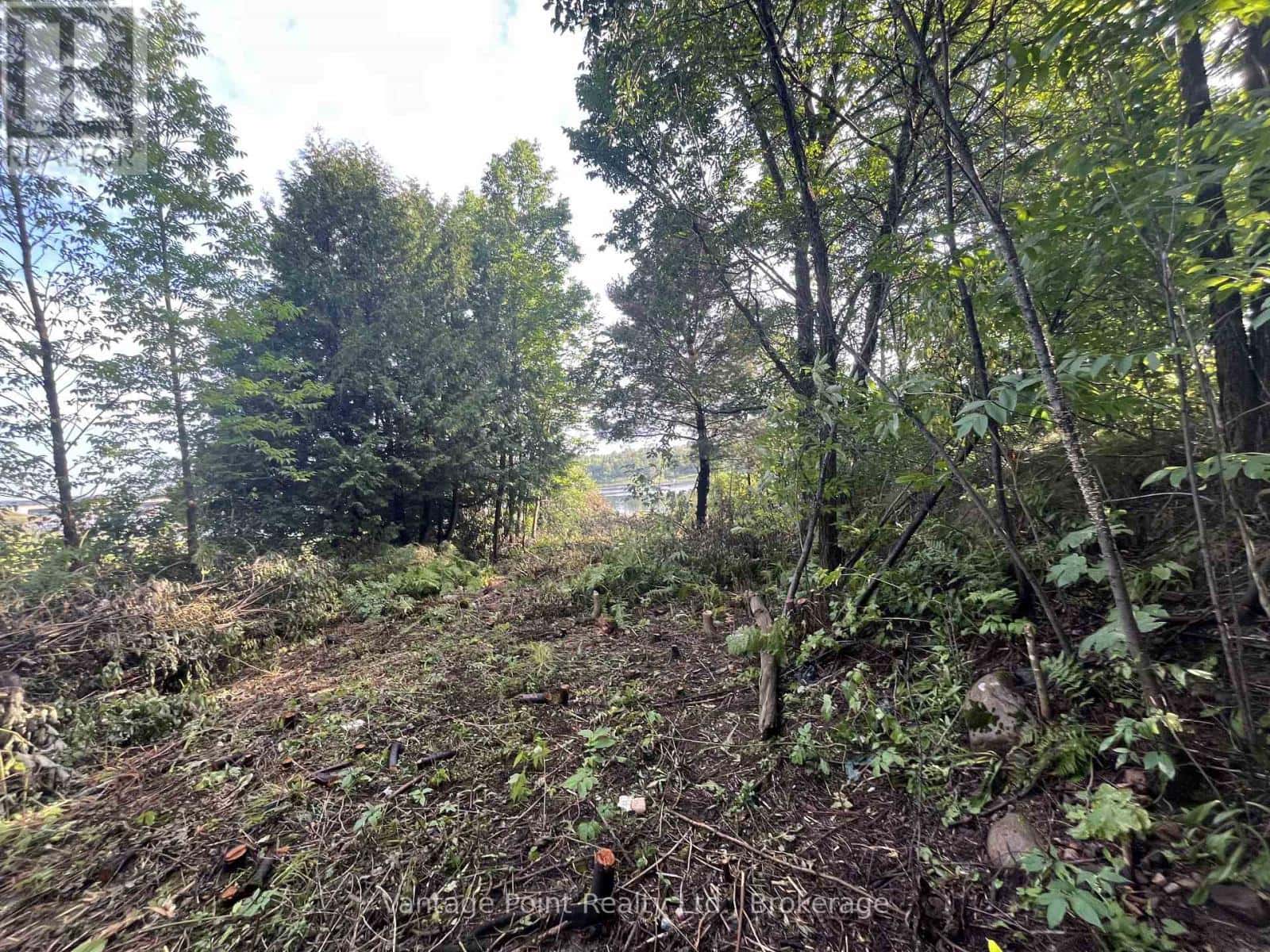 33 THIRD STREET E — Timiskaming (TIM - Outside - Rural), Ontario - Photo 5 of 11