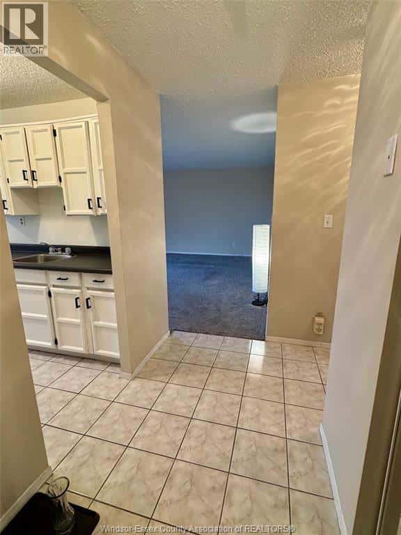 3936 WYANDOTTE STREET East Unit# 312 — Windsor, Ontario - Photo 3 of 19