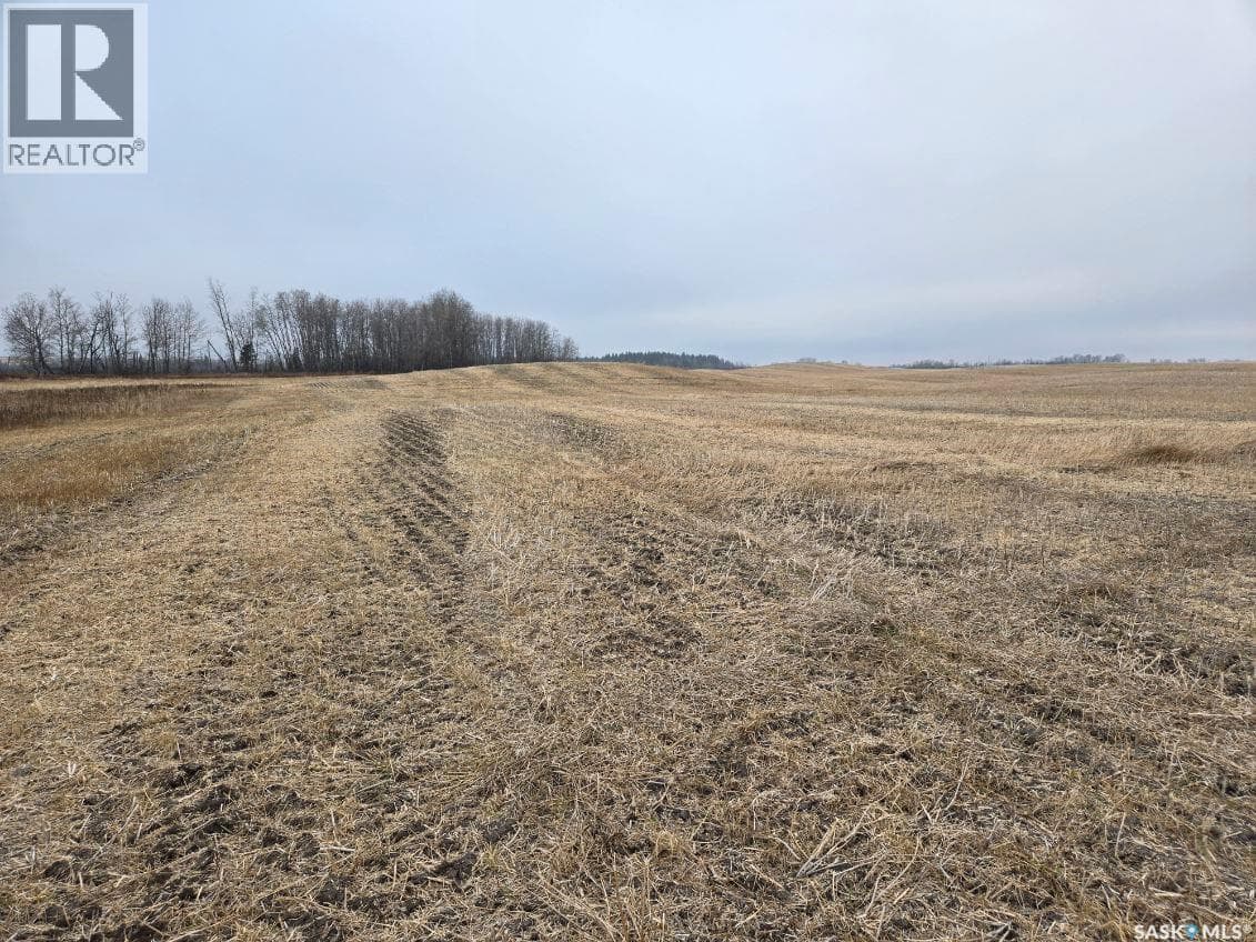 Guenter Land — Canwood Rm No. 494, Saskatchewan - Main photo