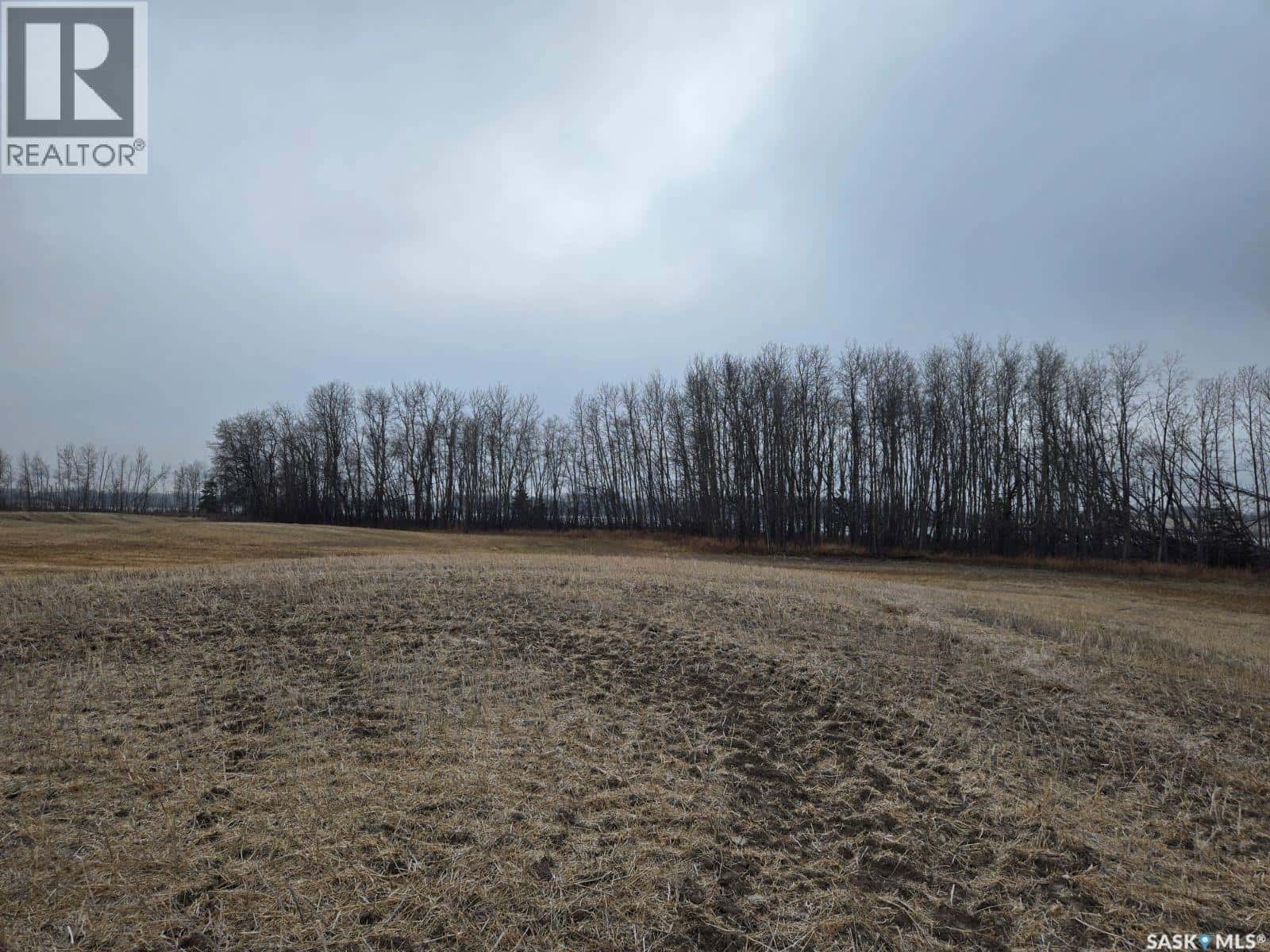 Guenter Land — Canwood Rm No. 494, Saskatchewan - Photo 4 of 7