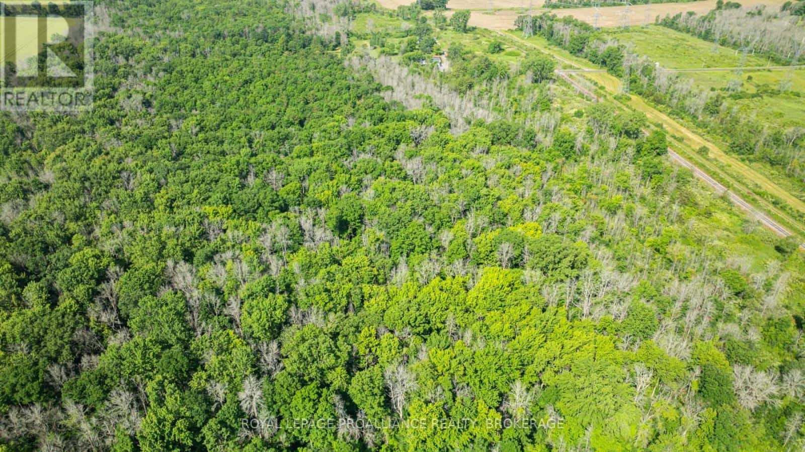 LOT B TOWNLINE ROAD — Loyalist (Lennox and Addington - South), Ontario - Photo 4 of 13