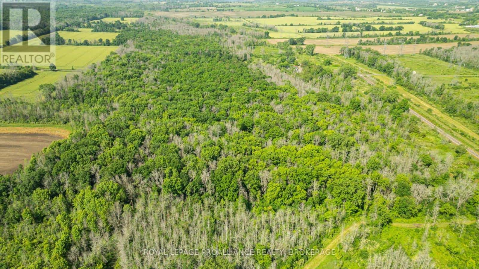 LOT B TOWNLINE ROAD — Loyalist (Lennox and Addington - South), Ontario - Photo 5 of 13