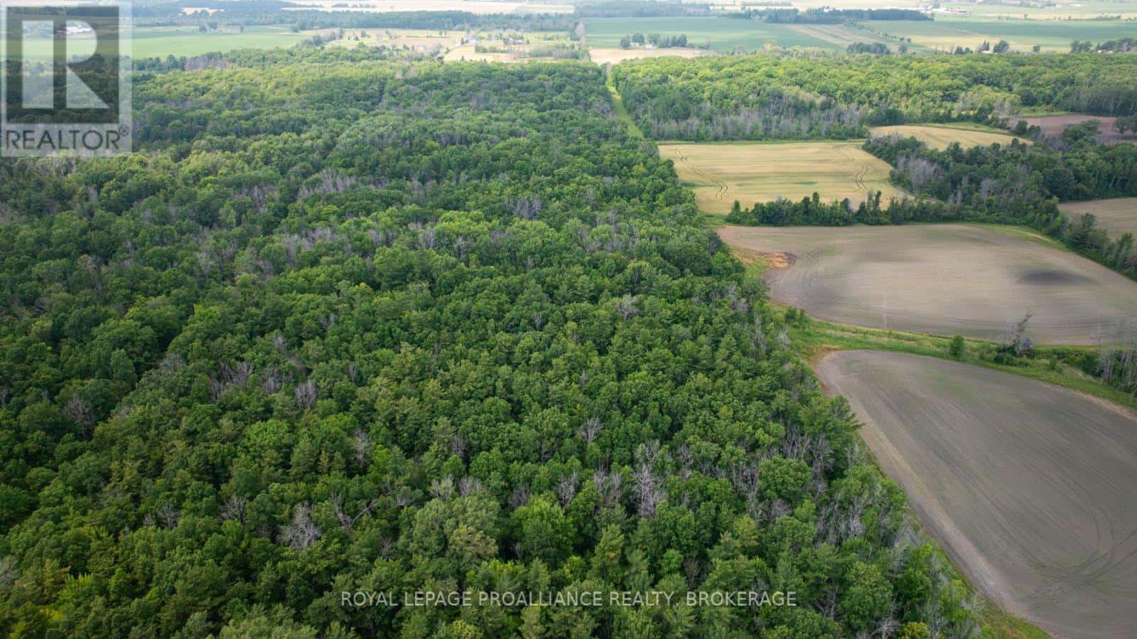 LOT C TOWNLINE ROAD — Loyalist (Lennox and Addington - South), Ontario - Photo 4 of 19