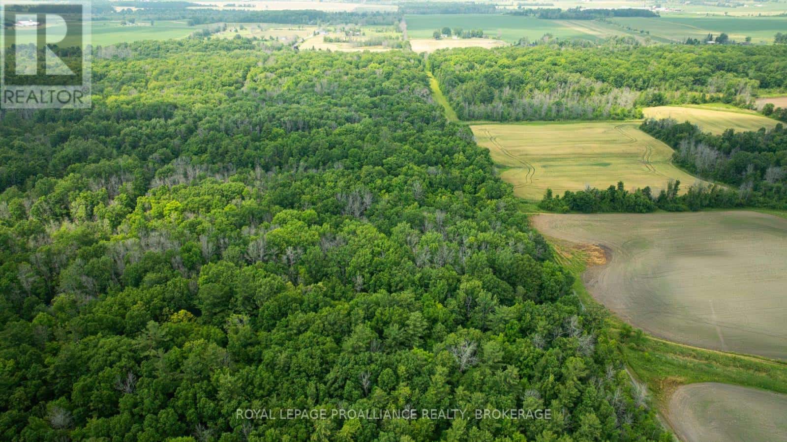 LOT C TOWNLINE ROAD — Loyalist (Lennox and Addington - South), Ontario - Photo 5 of 19
