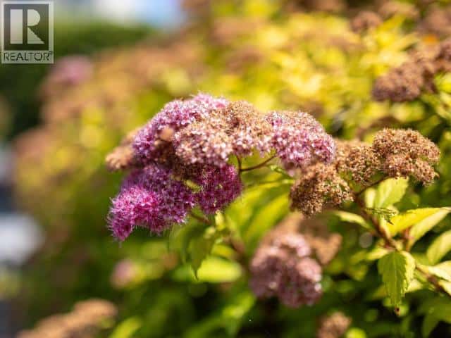 1-4651 HARVIE AVE — Powell River, British Columbia - Photo 2 of 28