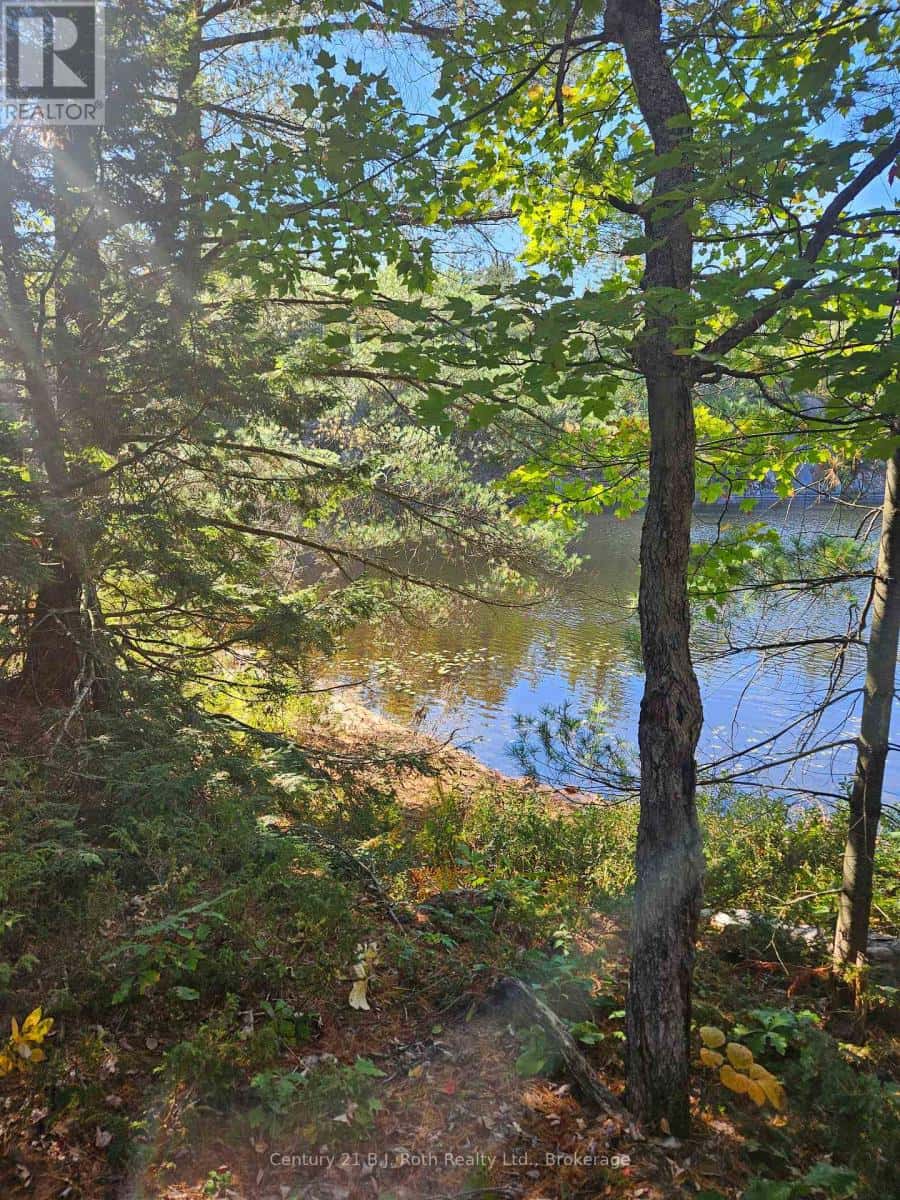 1112 SAM COOK ROAD — Gravenhurst (Ryde), Ontario - Photo 4 of 24