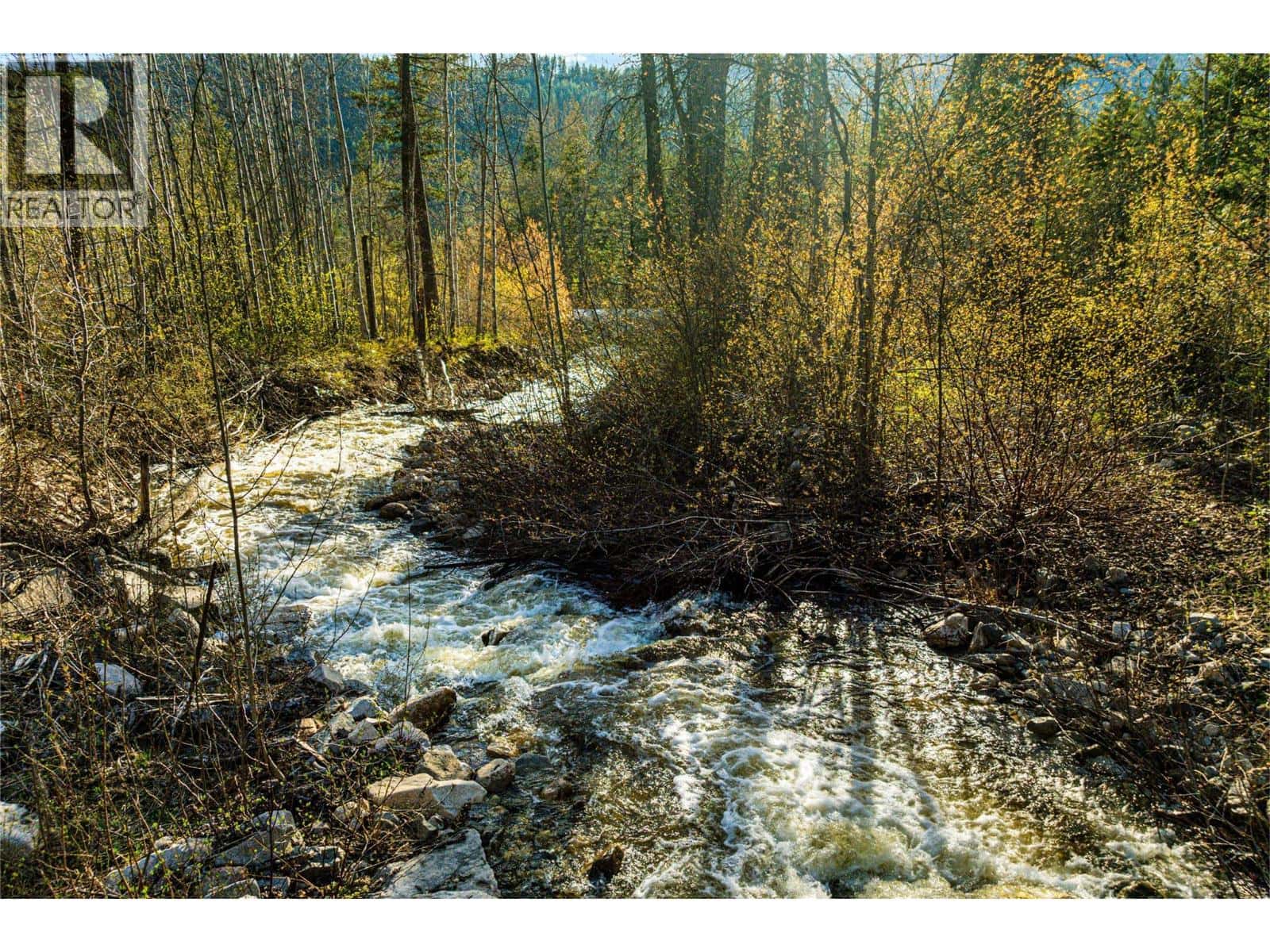 4350 Highway 33 — Beaverdell, British Columbia - Photo 3 of 31