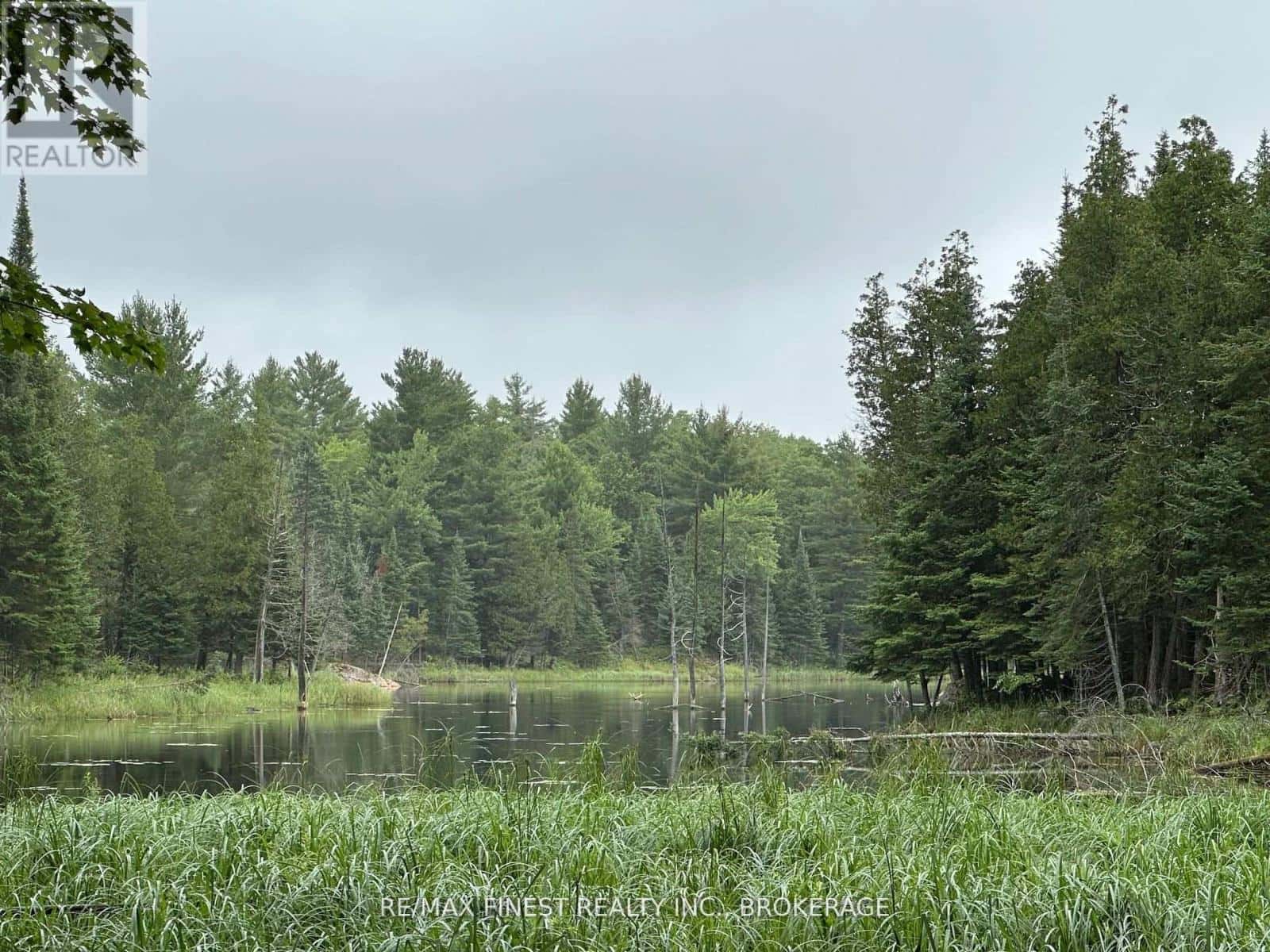 1042 ST PIERRE ROAD — Frontenac (Frontenac North), Ontario - Photo 2 of 11