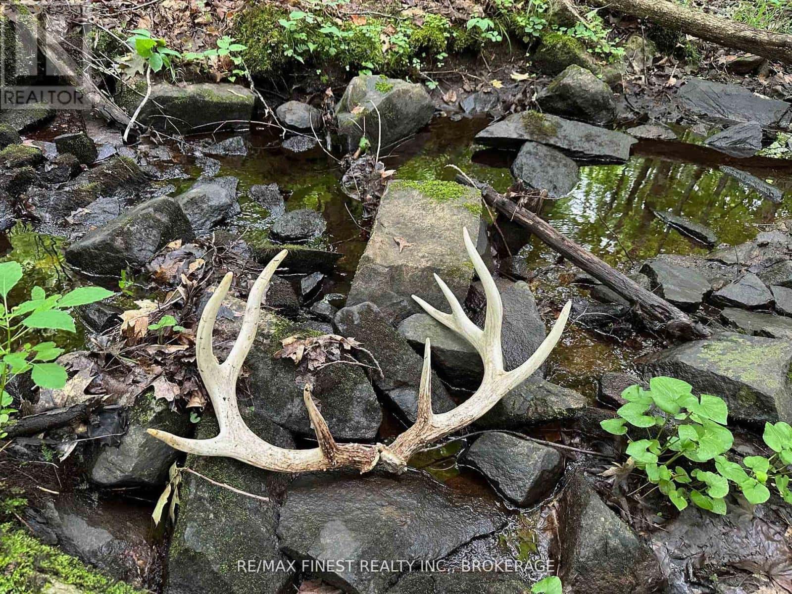 1042 ST PIERRE ROAD — Frontenac (Frontenac North), Ontario - Photo 5 of 11