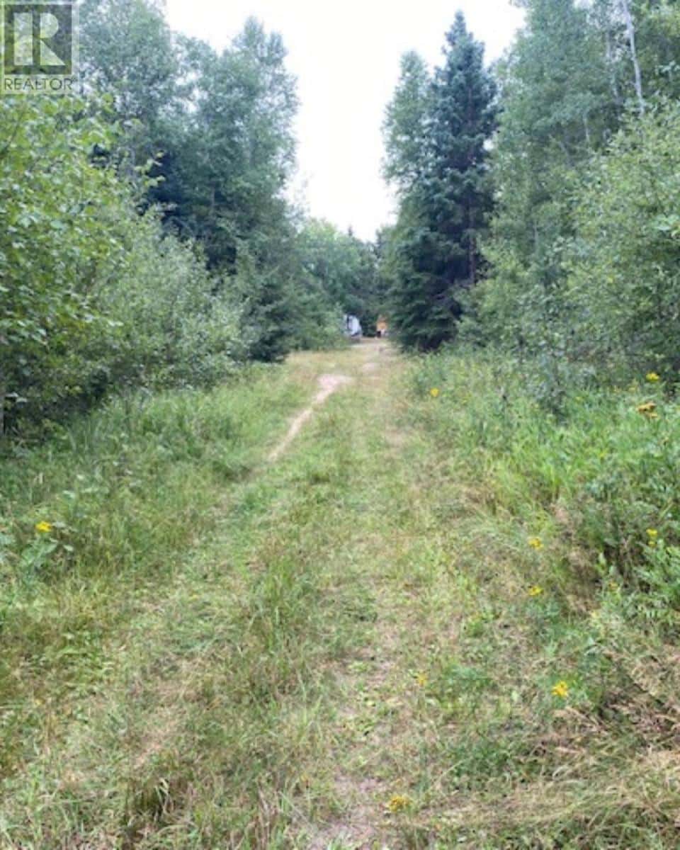 Gaye ST — Kenora, Ontario - Photo 3 of 17