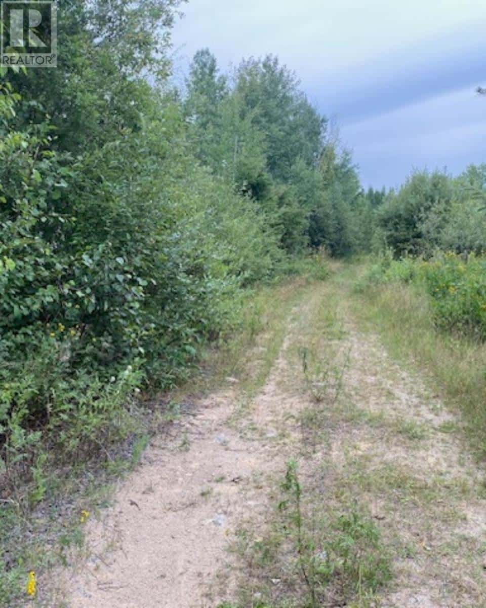 Gaye ST — Kenora, Ontario - Photo 5 of 17