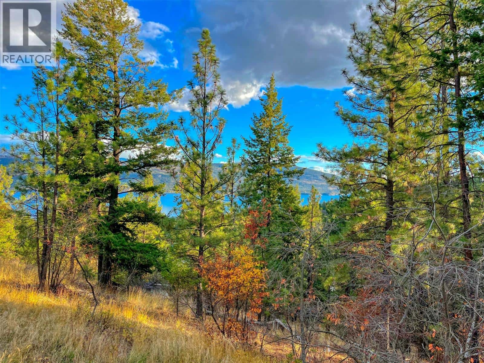 10751 Westshore Road — Vernon, British Columbia - Photo 5 of 14