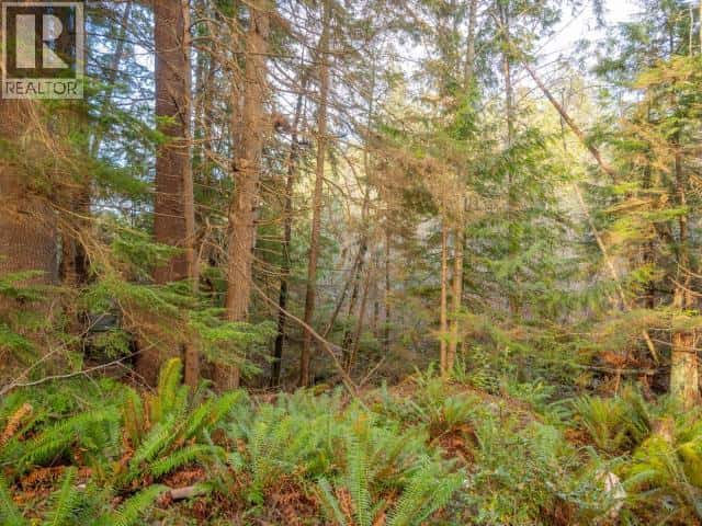 3559 GILLIES BAY RD ROAD — Texada Island, British Columbia - Photo 3 of 38