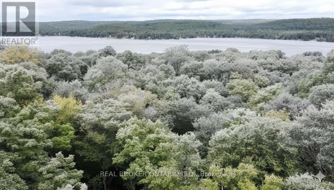 N/A FADER DRIVE — Algonquin Highlands (Stanhope), Ontario - Photo 2 of 5