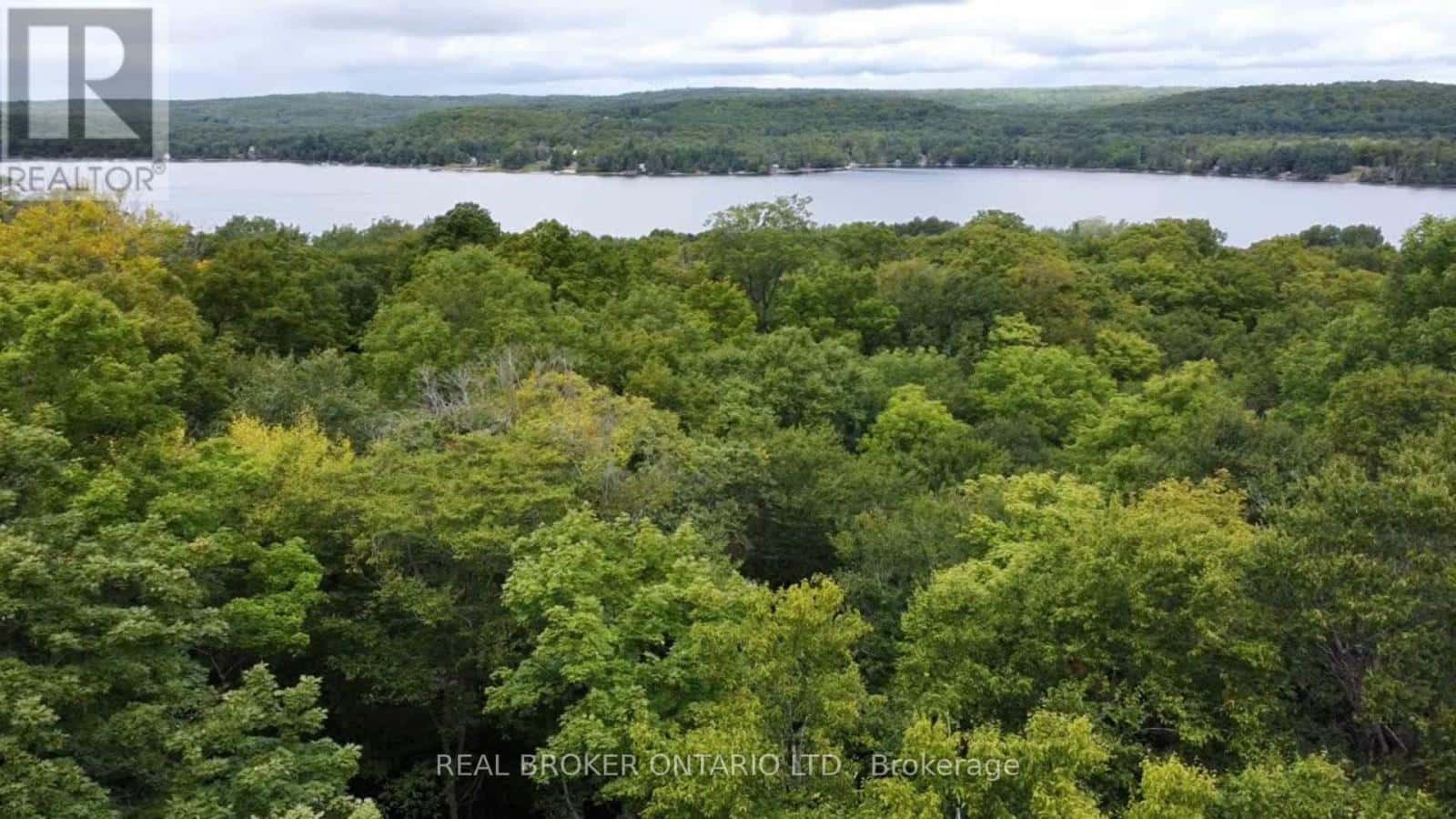 N/A FADER DRIVE — Algonquin Highlands (Stanhope), Ontario - Photo 3 of 5