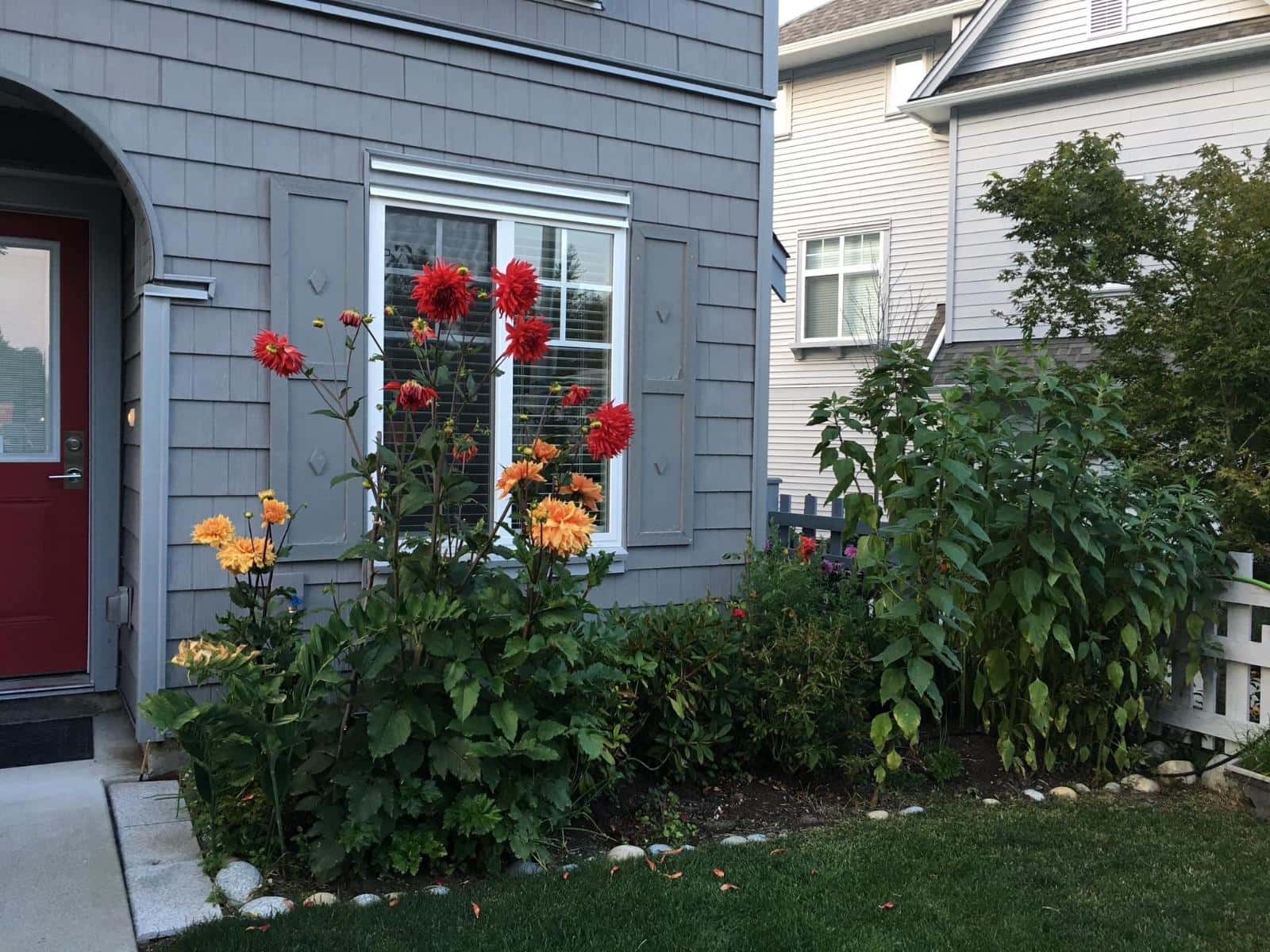 99 5858 142 STREET — Surrey, British Columbia - Photo 5 of 37