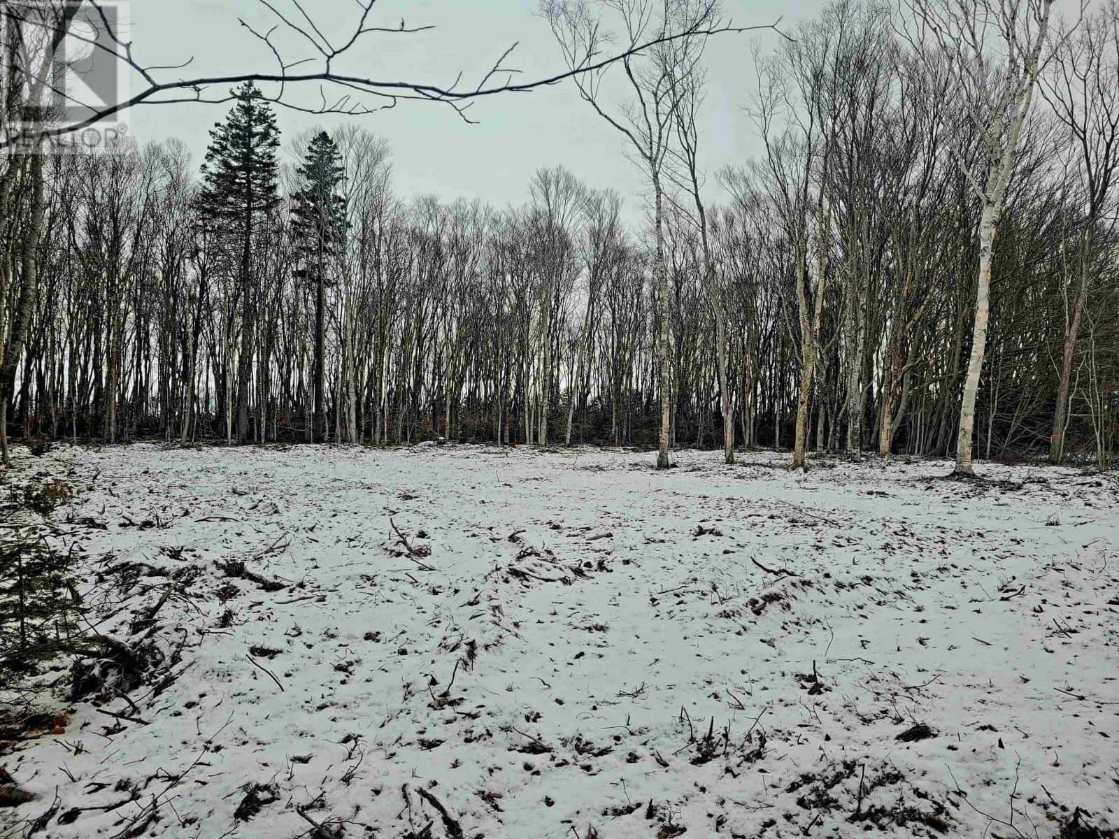 23-2 Fernwood Road — Bedeque and Area, Prince Edward Island - Photo 5 of 6