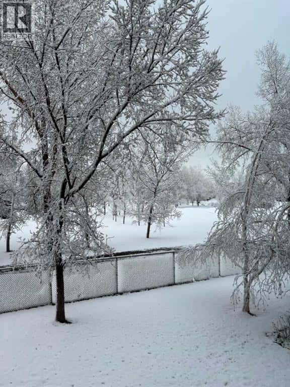 7204, 14 Hemlock Crescent SW — Calgary, Alberta - Photo 3 of 50