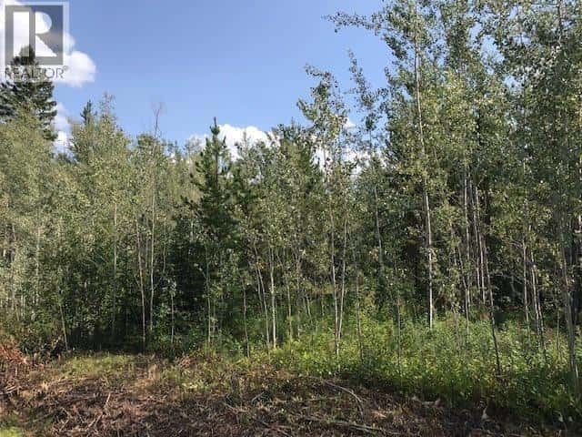 DL 3131 UPPER FRASER ROAD — Prince George, British Columbia - Photo 2 of 2