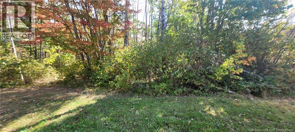 56 Vacation Lane — South Canaan, New Brunswick - Photo 4 of 15