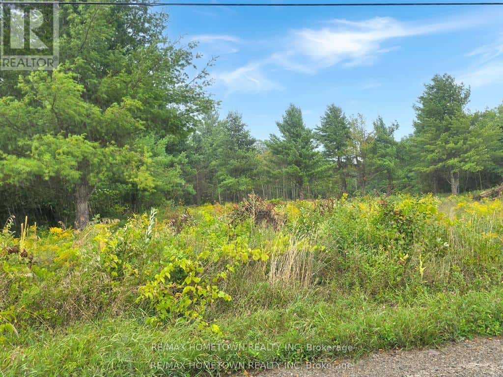 0 BEST ROAD — Drummond/North Elmsley, Ontario - Photo 3 of 8