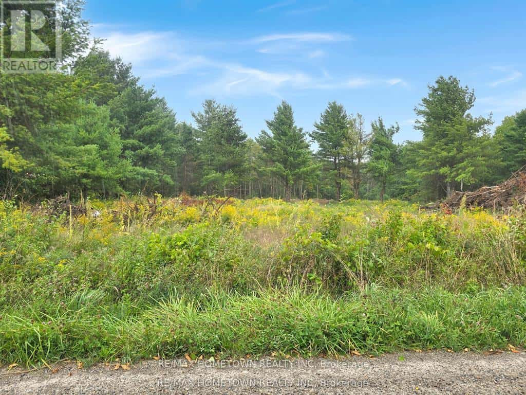 0 BEST ROAD — Drummond/North Elmsley, Ontario - Photo 4 of 8