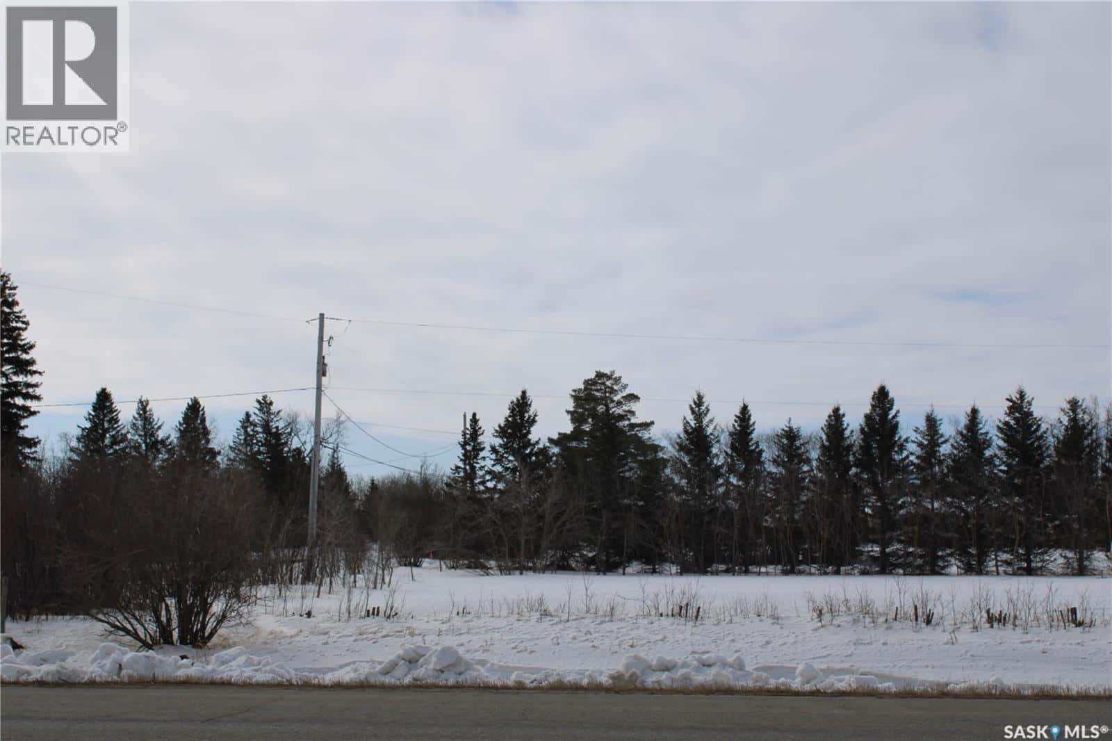 730 Broadway STREET W — Orkney Rm No. 244, Saskatchewan - Photo 3 of 9